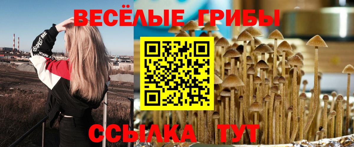 Псилоцибиновые грибы мицелий Долгопрудный